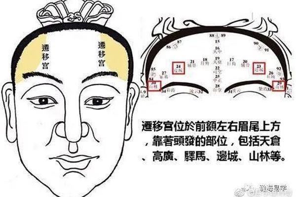 驿马痣相—驿马骨具体位置图解