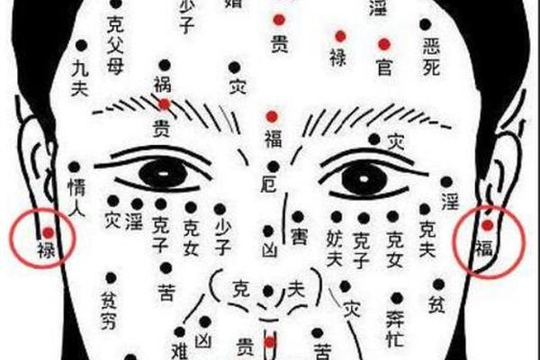 痣相子女宫在哪个位置(子女宫在哪个位置图片)