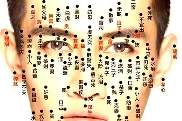 痣相初学者(面相学痣)