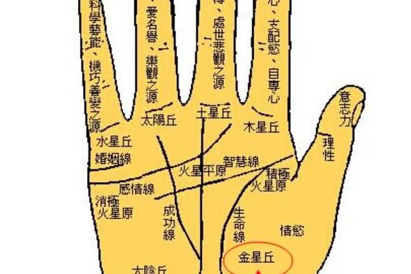 女人最好的手相痣相 手痣相图解大全女