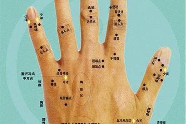 女性右手掌痣相;右手掌长痣的位置示意图
