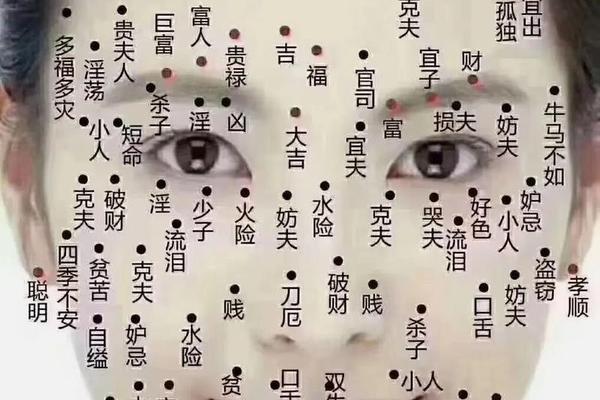 痣相教学视频-点痣教程视频教学