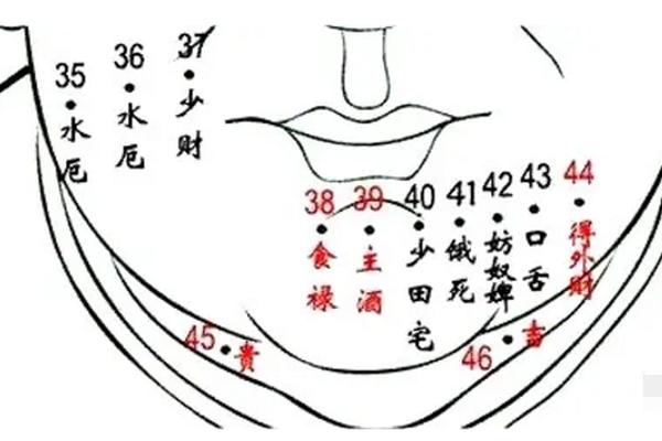 女生痣相解释脖子左_女生左脖子上有痣代表什么
