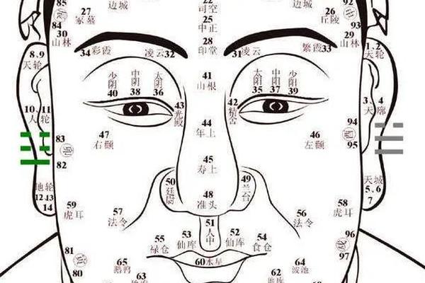 痣相发中痣(女人痣相图解)