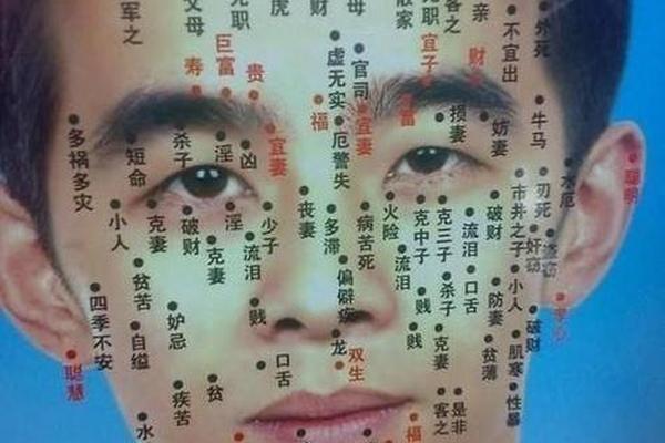 脸上有痣相痣上有毛;脸上长了个带毛的痣好不好