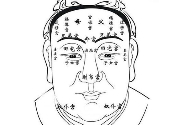 麻衣神相地库痣 嘴唇上的痣可以去掉吗麻衣神相