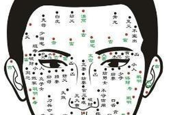 脸痣图相大全图解男生(面部长痣全部图)