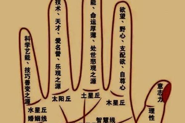 手相_面相_痣相哪个准_面相与手相哪个准 手相_面相_痣相哪个准_面相与手相哪个准