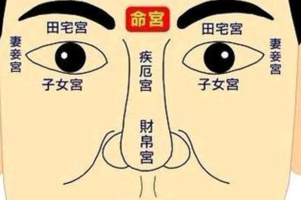 麻衣神相解痣、麻衣相法大全图解痣
