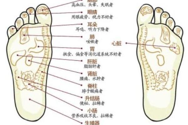 男人左脚板底痣相大全(脚底长痣的男人命运)