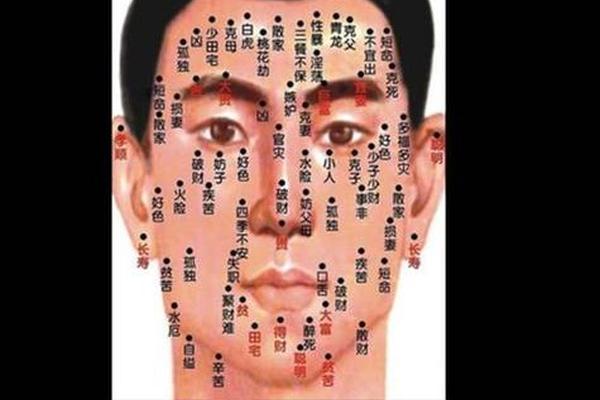 男生痣相全身;男人全身痣对照表