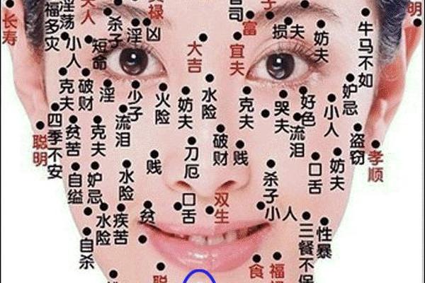 贵痣相_顶级富贵痣