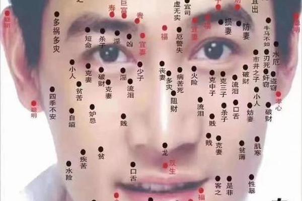 男痣相脸大全 图解—脸上痣的位置图解 男痣相脸大全 图解—脸上痣的位置图解