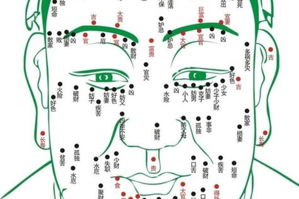 面部痣相3D解析图 人面部痣解析图