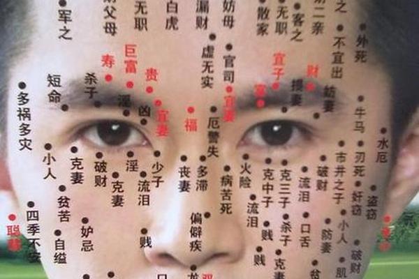 易经痣相大全—男人身上痣相大全图解
