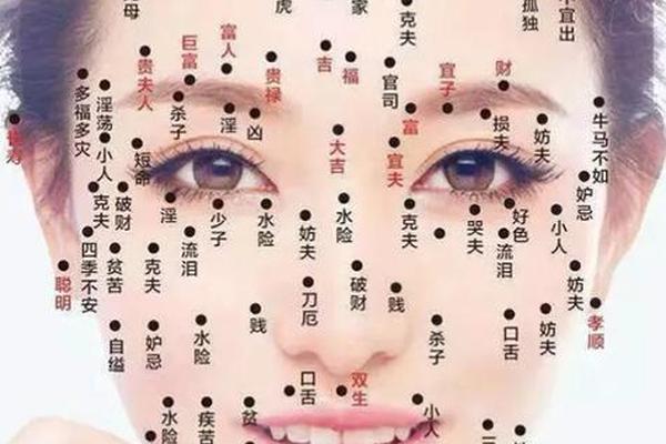 女人面部痣相最新图解(面上有痣看相图解)
