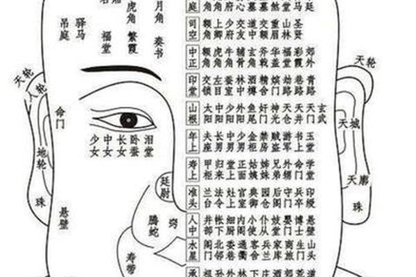 麻衣神相手心长痣、耳朵有痣的命运 图解