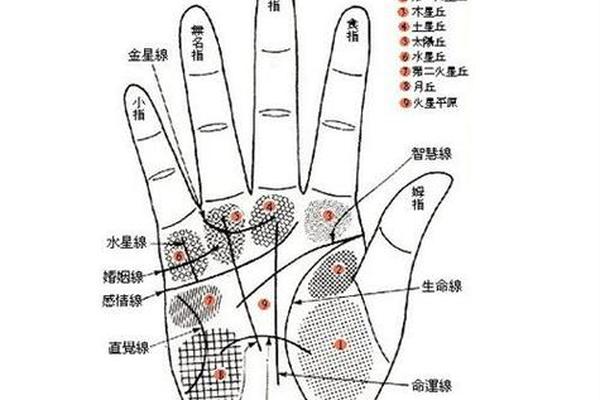 痣相肩膀 手掌痣相图解