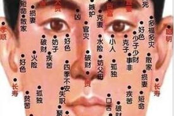 麻衣神相易经相术脸上痣;面上痣的图片解说图 麻衣神相易经相术脸上痣;面上痣的图片解说图
