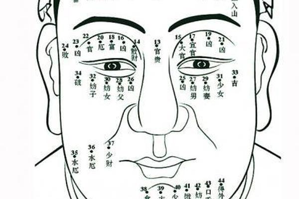 相师给点痣 点痣相师全文免费阅读