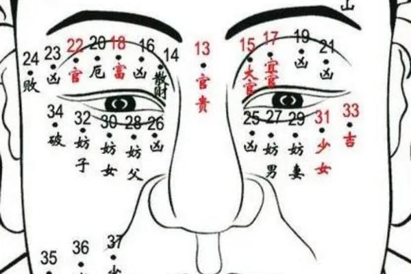女性右眼上方痣相忌水痣 右眼下有痣的女人好吗