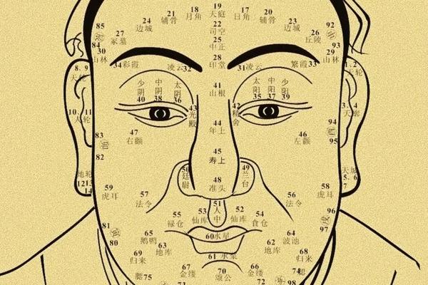 麻衣神相 鼻翼下方长痣-鼻孔下方长痣图解