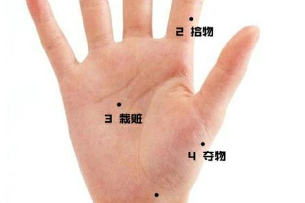 麻衣痣相手上的痣—手上痣相图解