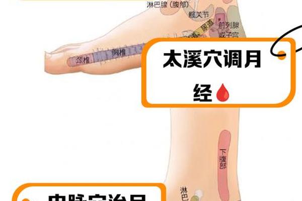 脚跟痣相—脚后跟痣相图解