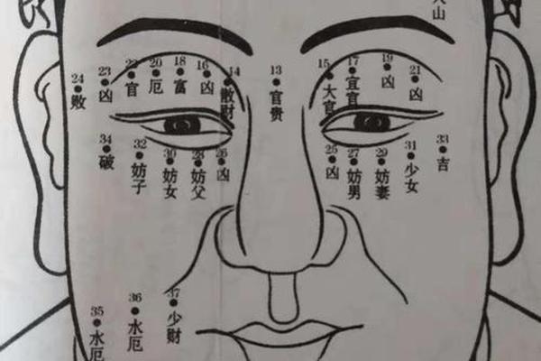 麻衣神相痣相有痣-麻衣相术面痣图解