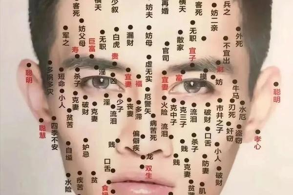 痣相朱雀痣-黑雀子和痣的区别图