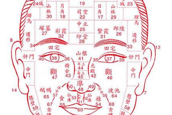 麻衣相法 泪痣(麻衣相术面痣图解)