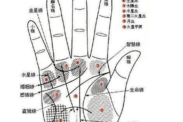痣相刹,女人右手掌心有痣图解大全