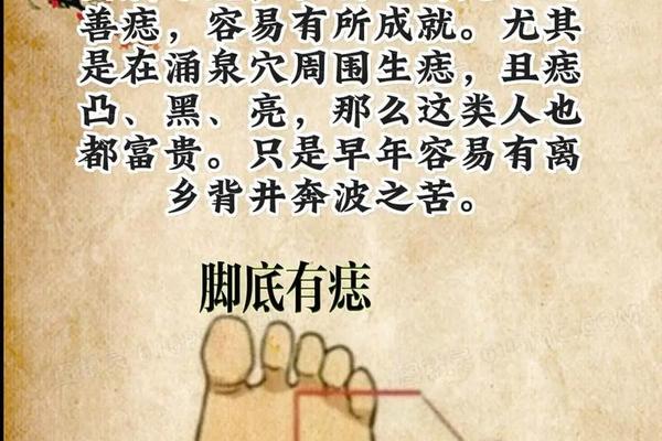 脚痣相算命理 看相算命大全有图像痣