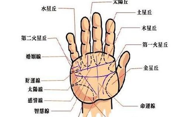 男人左手痣相最准图、男人左手手掌痣图解