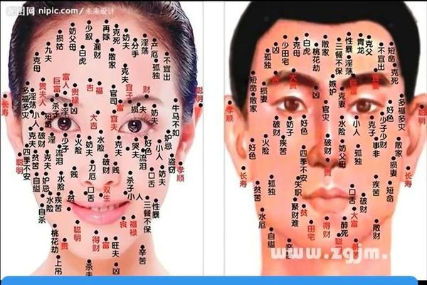 脸上长痣相风水—脸上痣的风水图