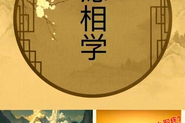 痣相风水小说免费阅读(痣真能代表命运吗)