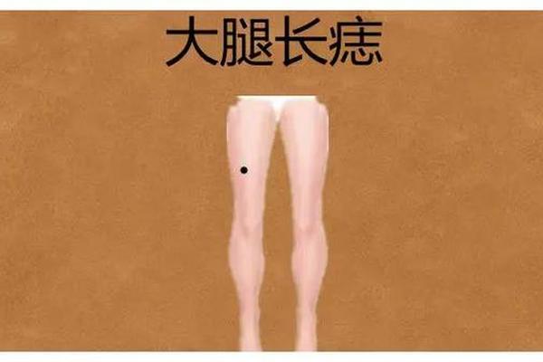 大腿根部痣相 寓意_大腿根部内侧长痣寓意