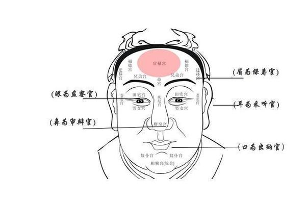父母宫痣相,面相父母宫位置图