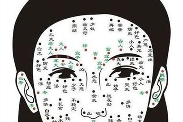 痣相的位置和寓意图(痣的位置各代表什么)