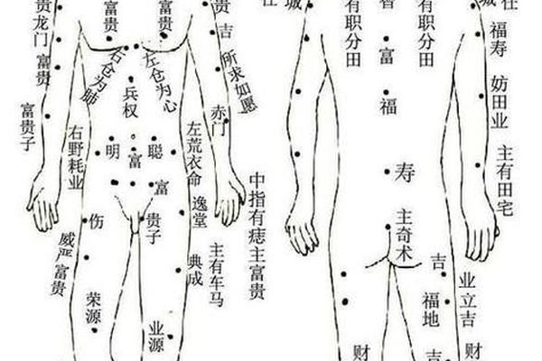 麻衣神相后背痣图解,痣相图解10大福痣