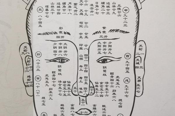 麻衣神相男痣图解;麻衣相术脸部 痣