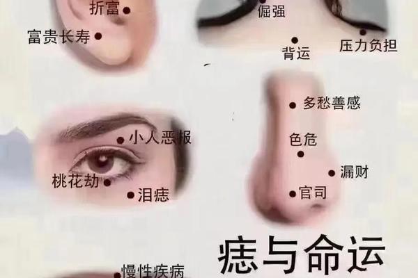男人鼻子痣相最准,鼻子痣相图解 男人鼻子痣相最准,鼻子痣相图解