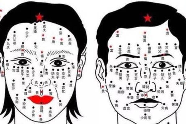 痣相头发_头发里痣的位置与命运图