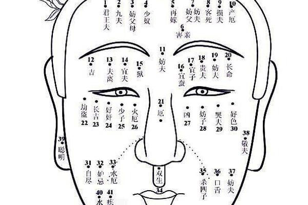 麻衣相法面部痣图女、麻衣相术脸部图解大全