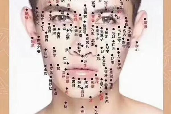 痣相大全视频_男人身上痣相大全图解 痣相大全视频_男人身上痣相大全图解