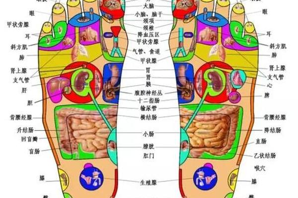 古代足底痣相—足底有痣代表什么