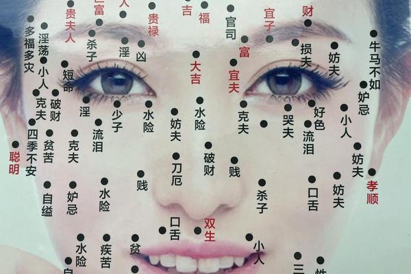 看痣相 脸上准吗—一般看脸上的痣该去哪些地方看