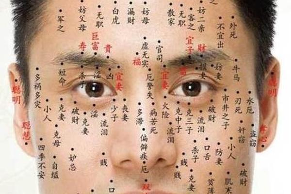 肚子上长痣相、脸上长痣相图解大全