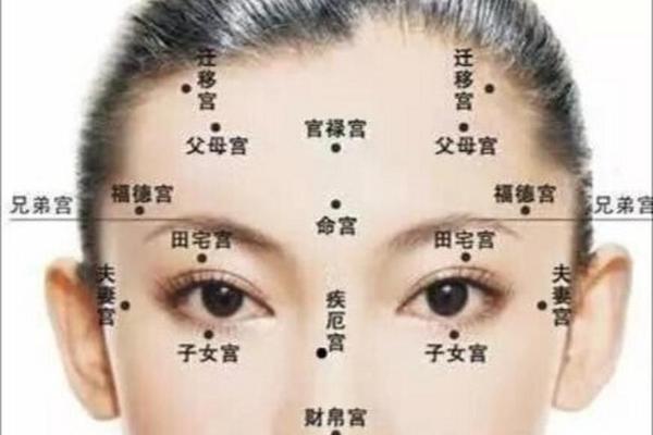 相理衡真两眉之间有痣—两条眉毛之间有痣代表什么