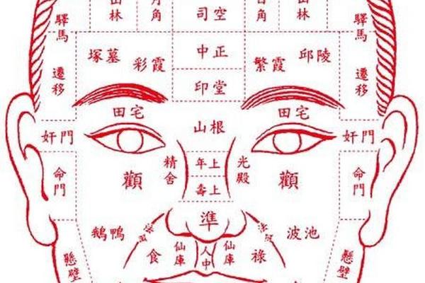 男人面部吉痣相最准图_男面部痣相图解 最全